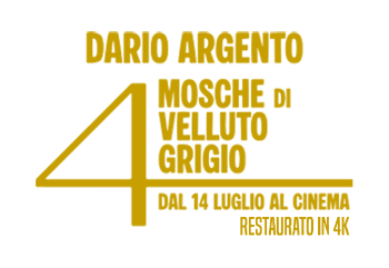 4 mosche di velluto grigio TITOLO