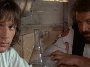 4 mosche di velluto grigio di Dario Argento dal 14 Luglio al cinema