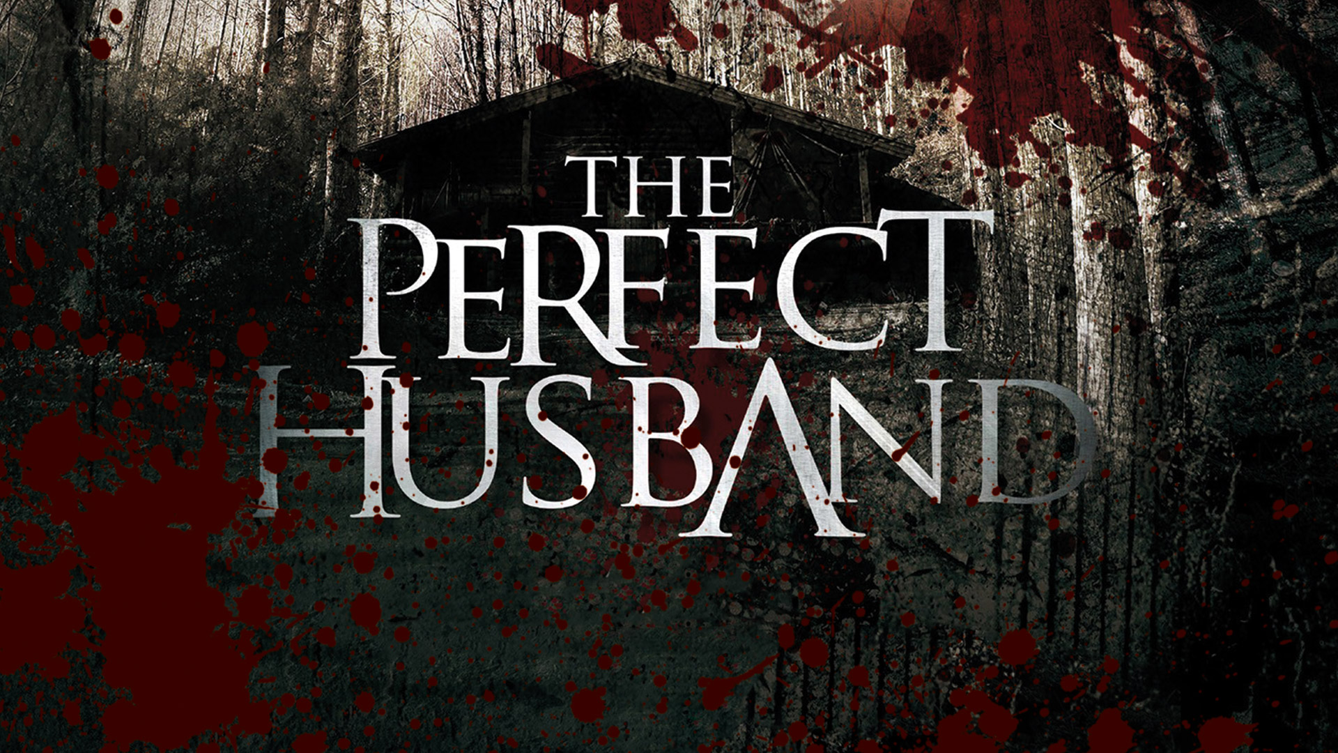 The Perfect Husband
