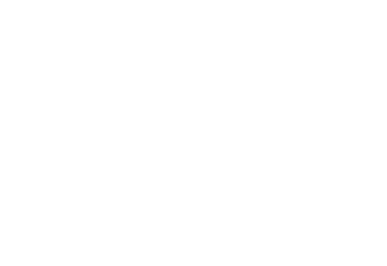 Il caso 137