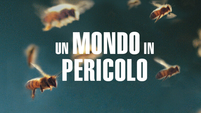 Un mondo in pericolo