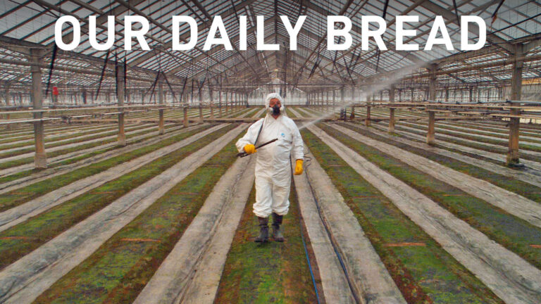 Our Daily Bread