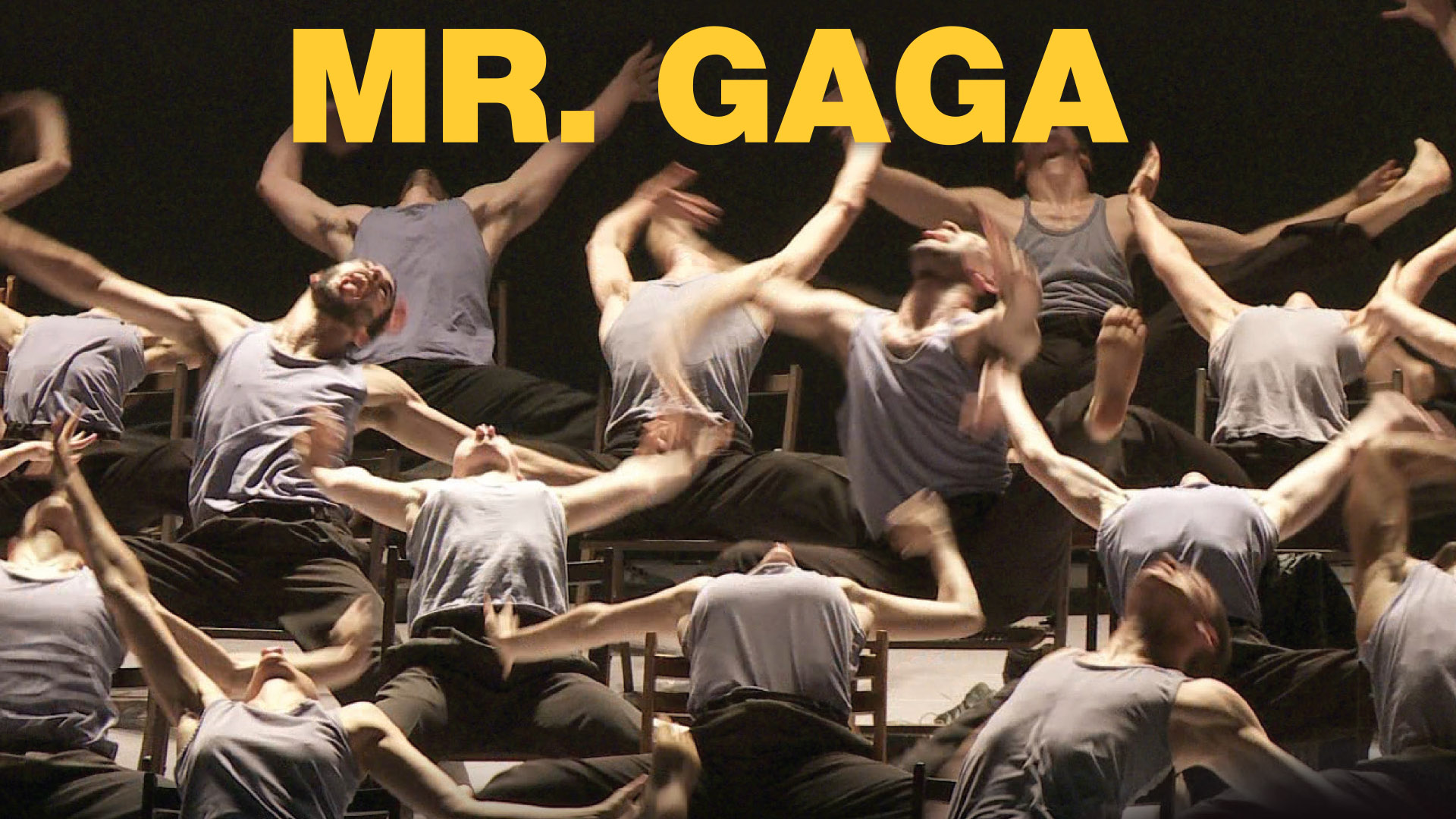 Mr.Gaga