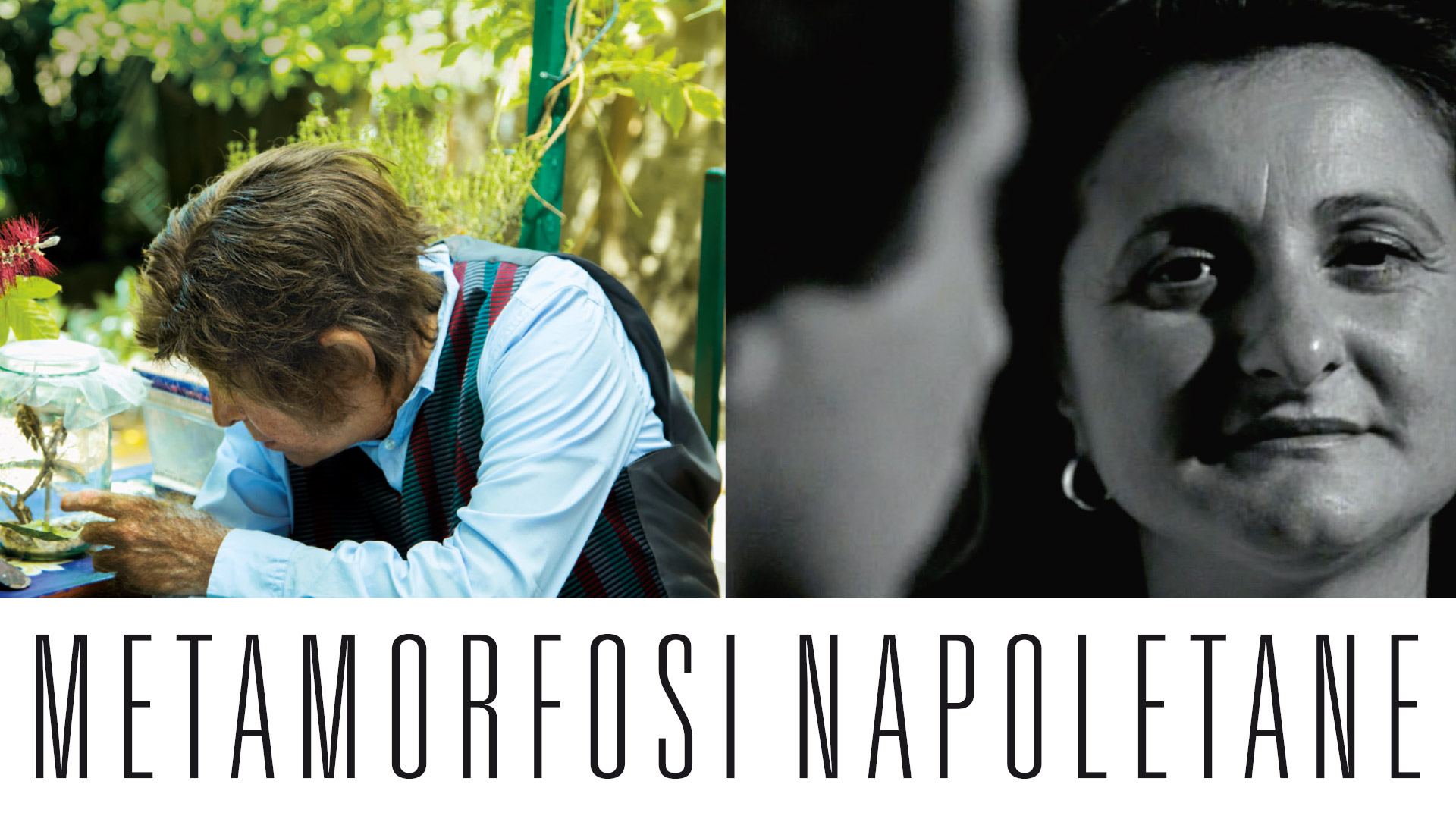 Metamorfosi napoletane  – Due film di Antonietta De Lillo