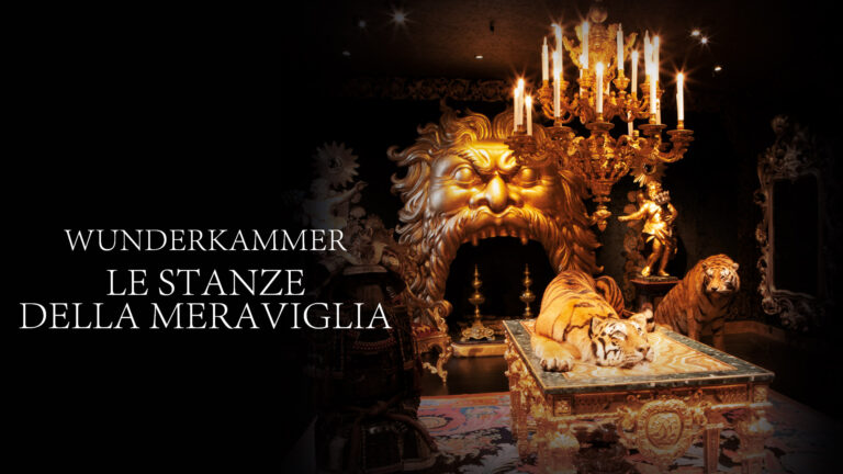 Le stanze della meraviglia – Wunderkrammer