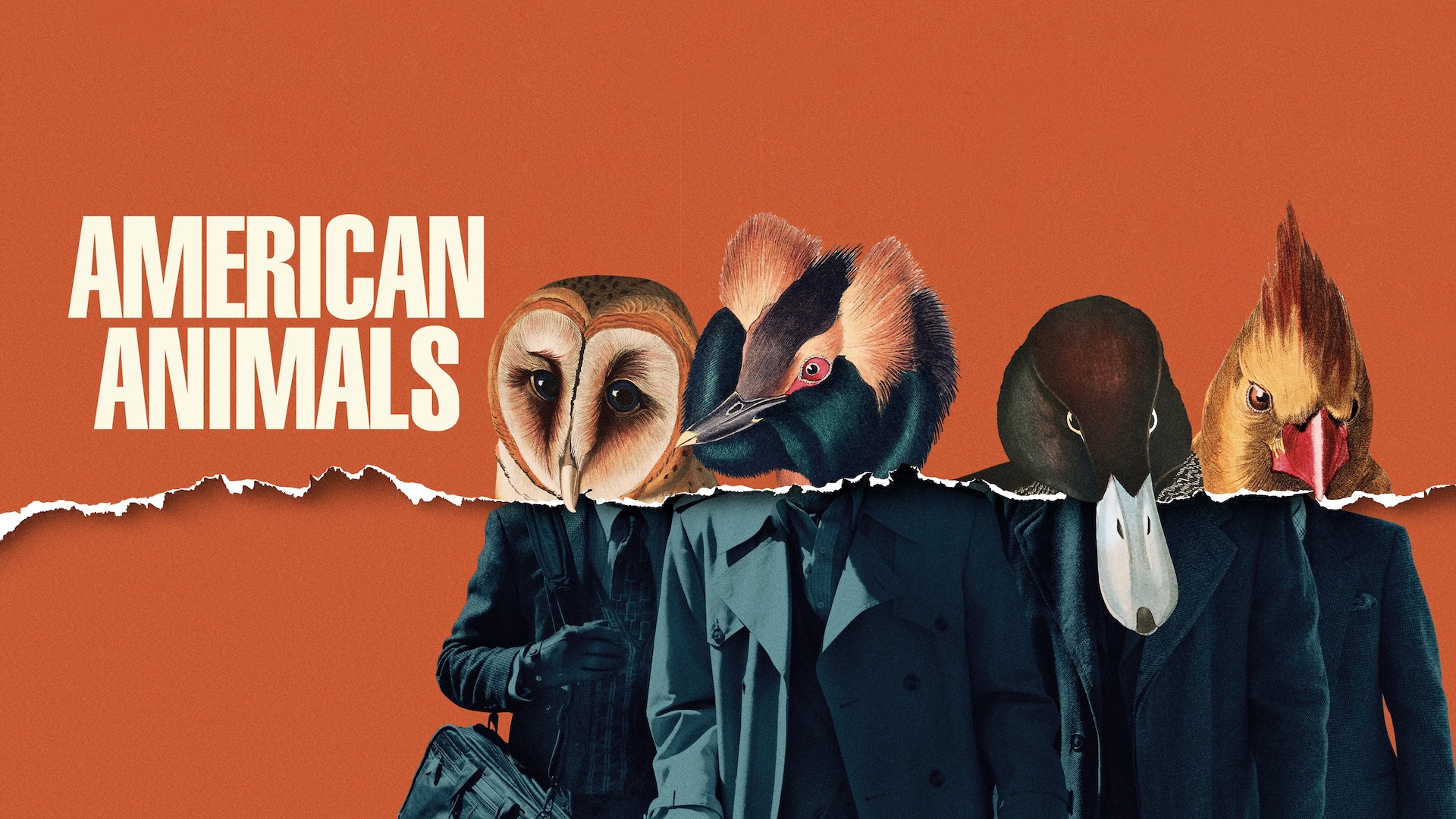 American Animals