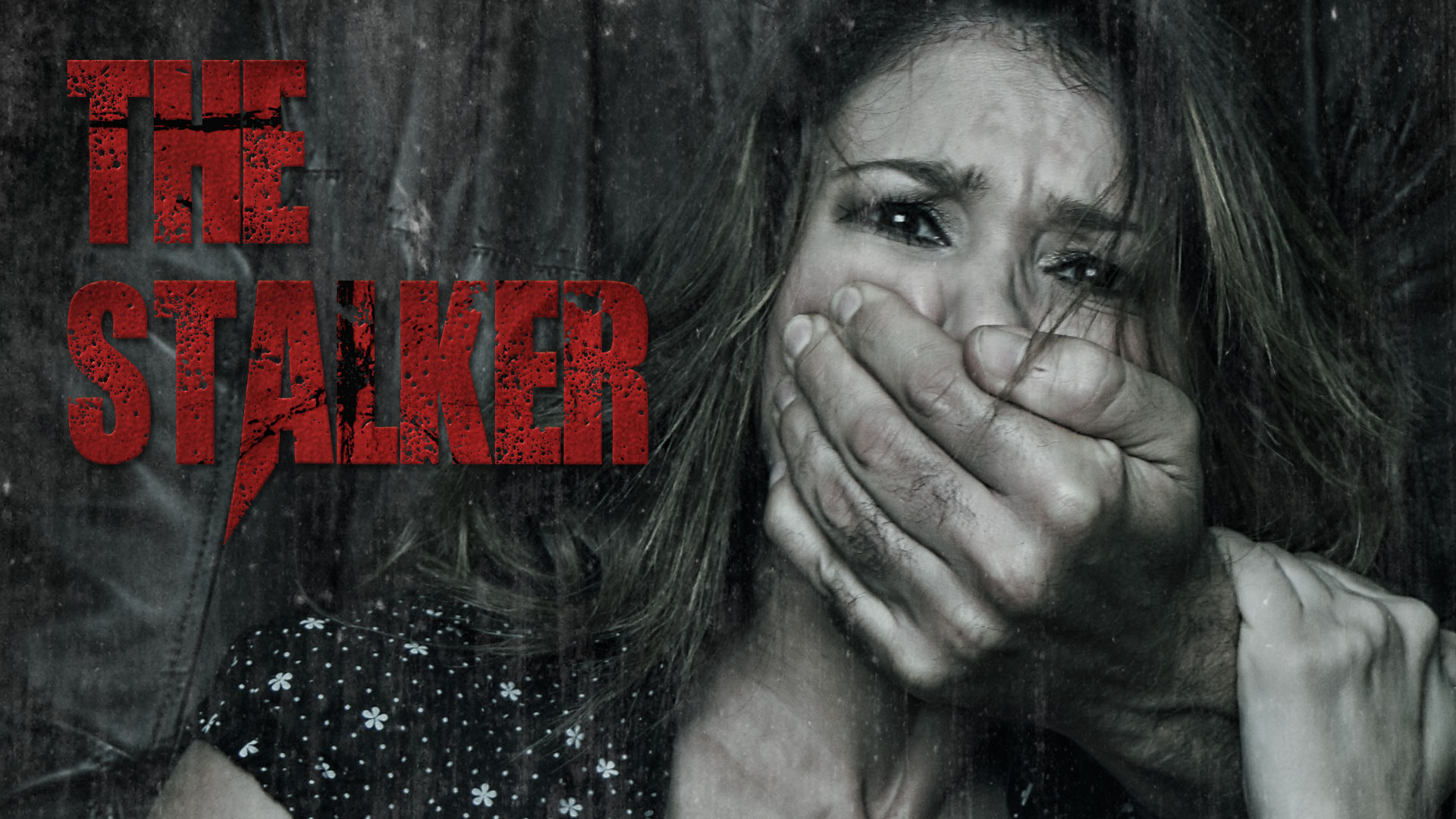 The Stalker