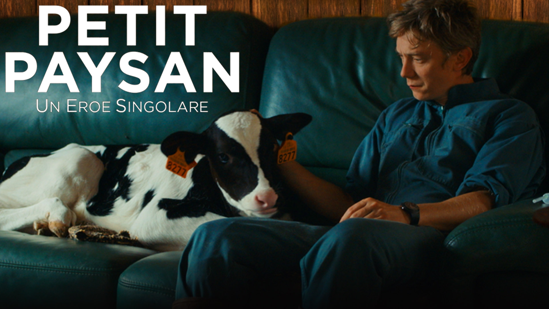Petit Paysan – Un eroe singolare