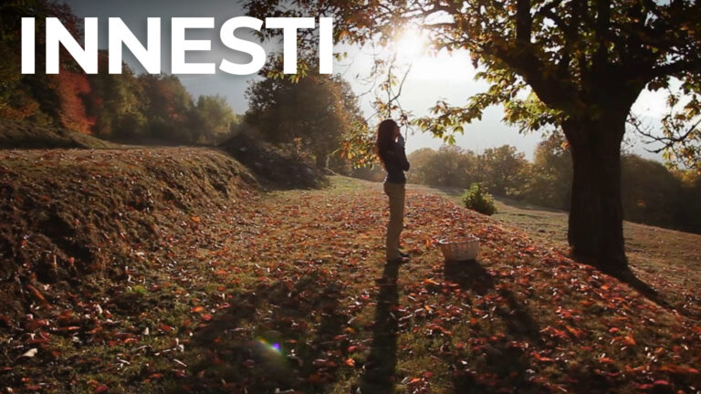 Innesti