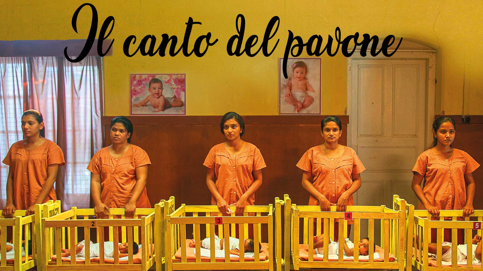 Il canto del pavone