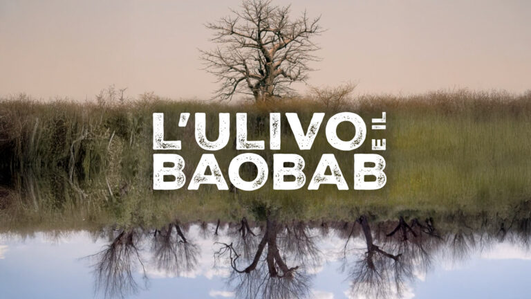 L’ulivo e il baobab