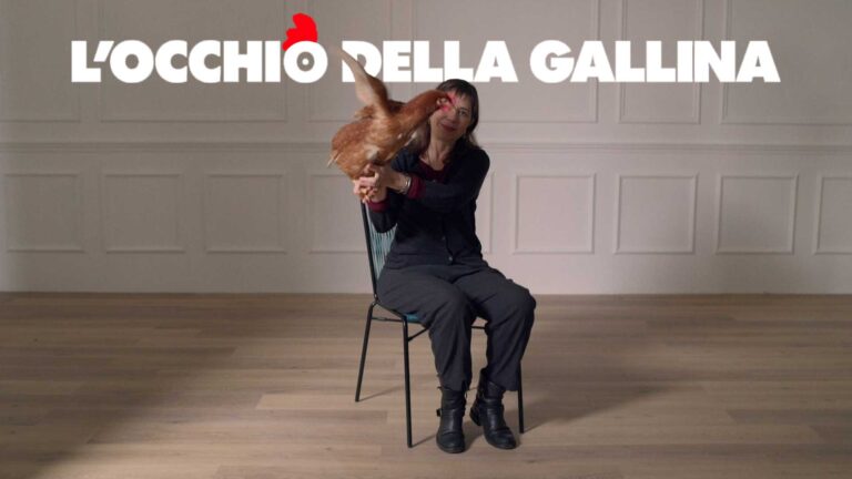 L’occhio della gallina