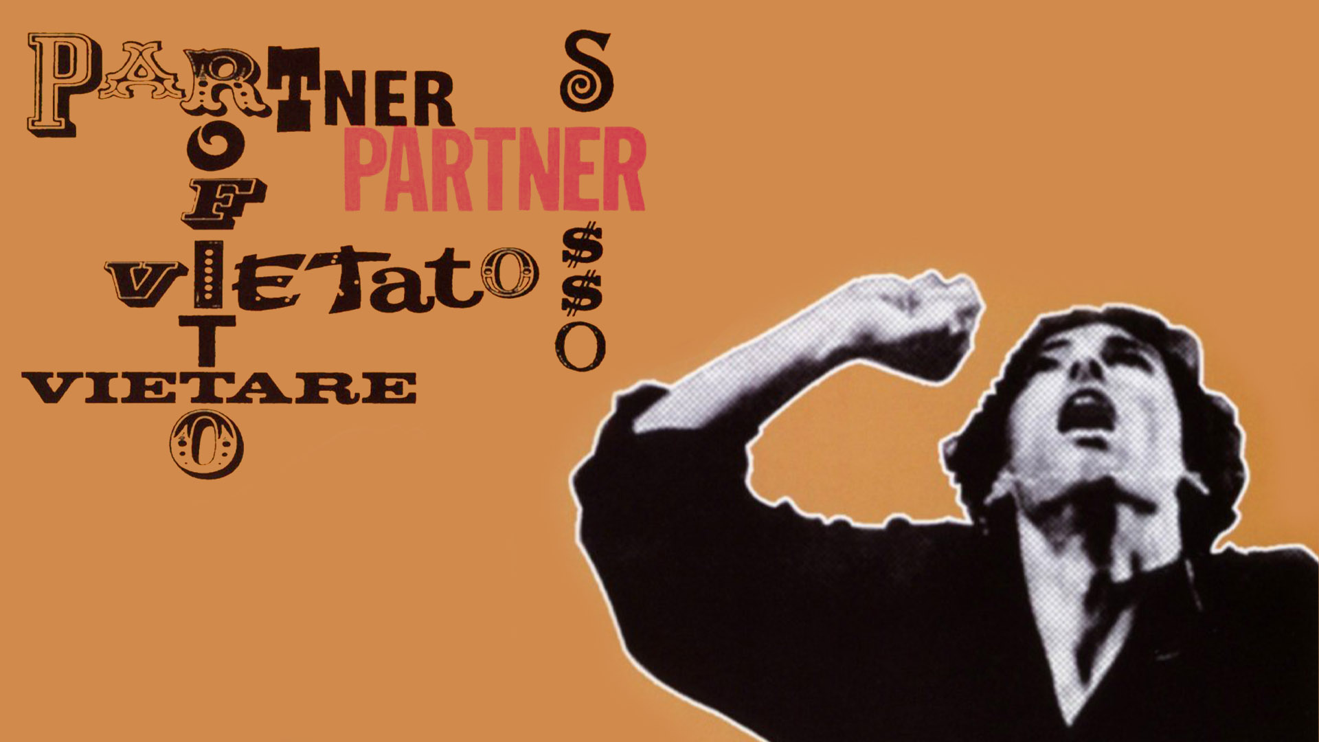 Partner
