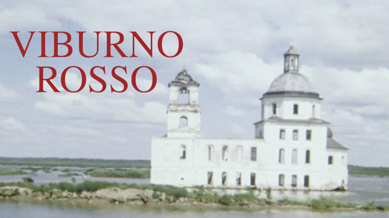 Viburno Rosso