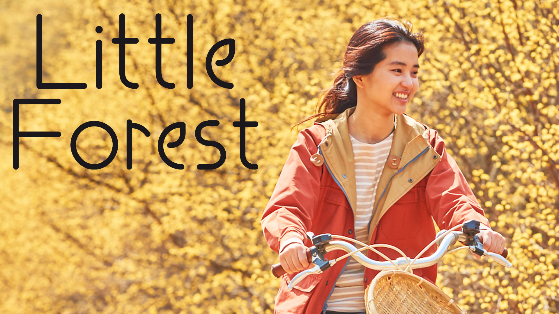 Little Forest