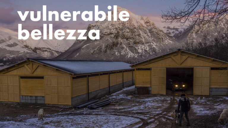 Vulnerabile bellezza