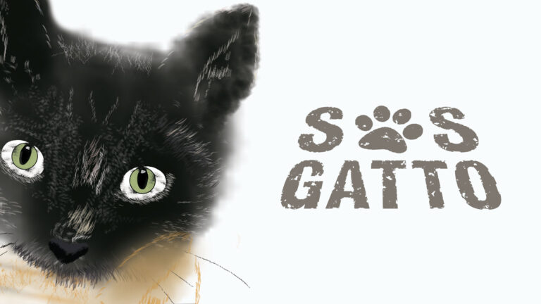 S.O.S. Gatto