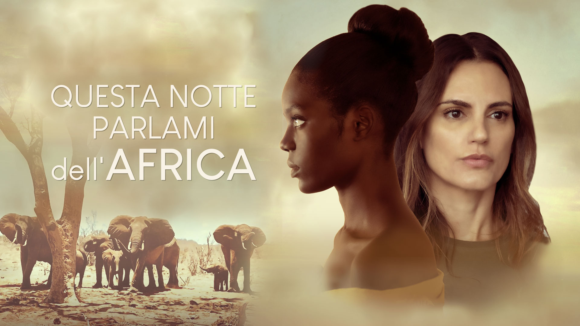 Questa notte parlami dell’Africa