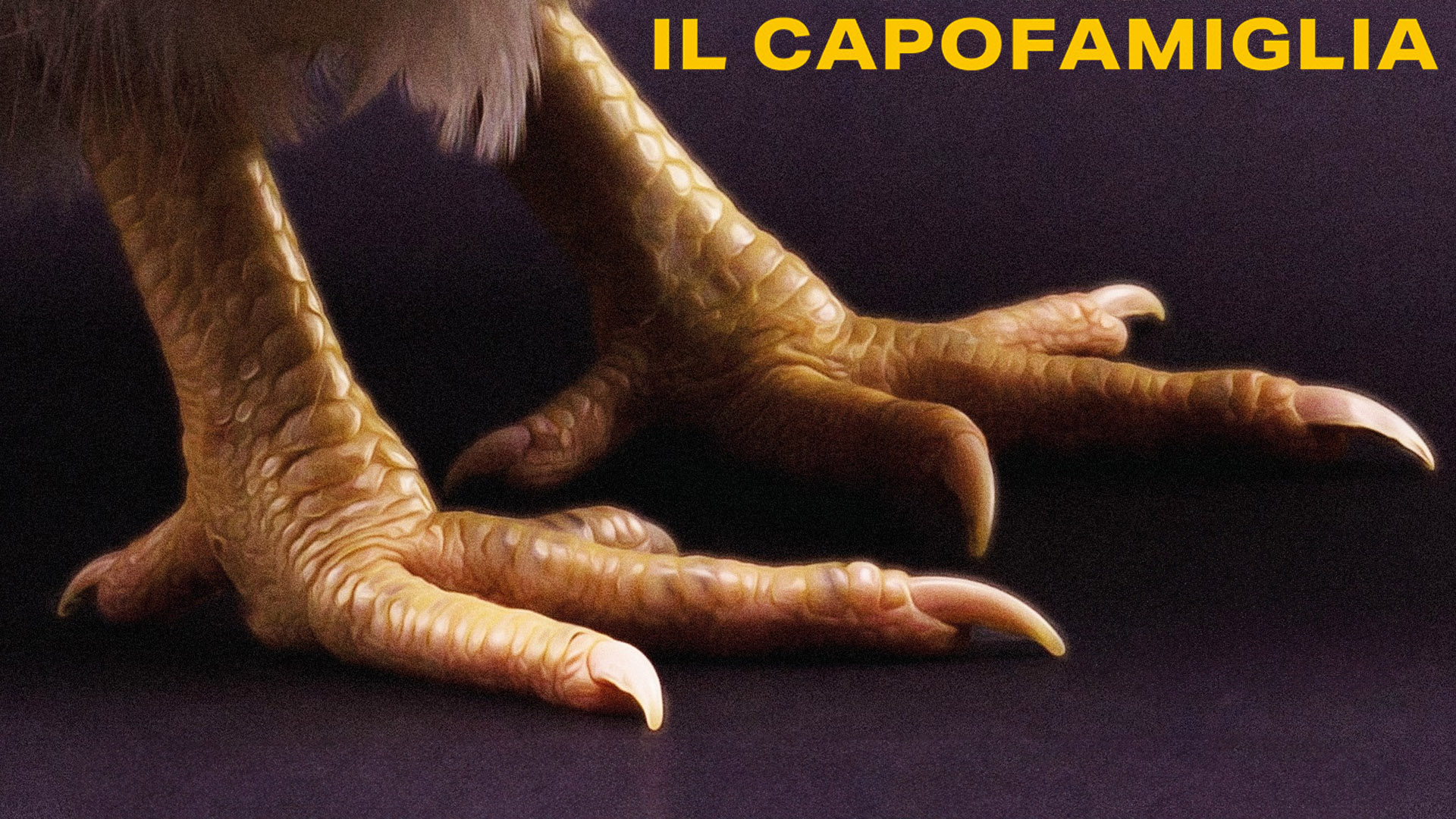 Il capofamiglia