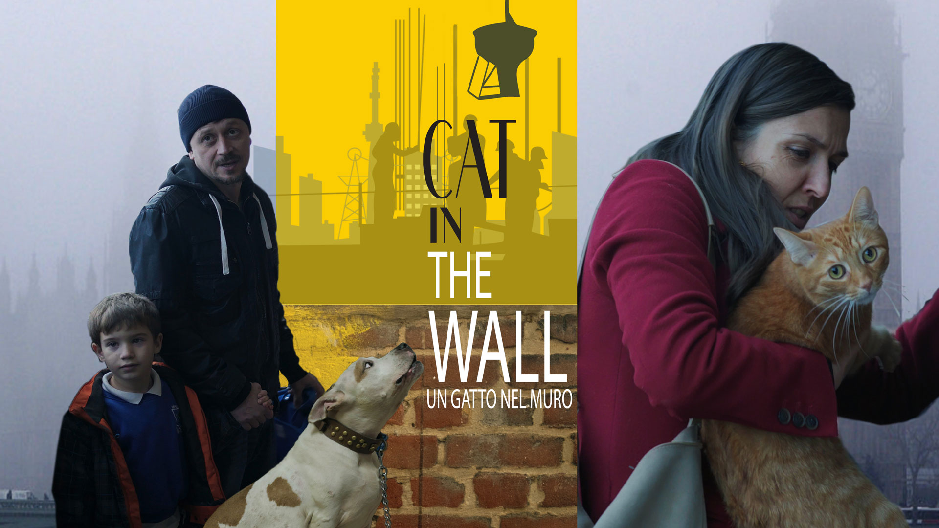 Cat in the Wall: Un gatto nel muro