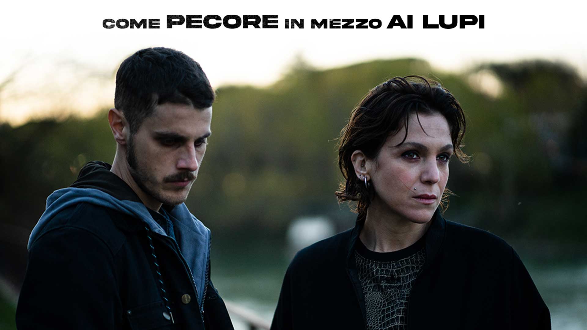 Come pecore in mezzo ai lupi