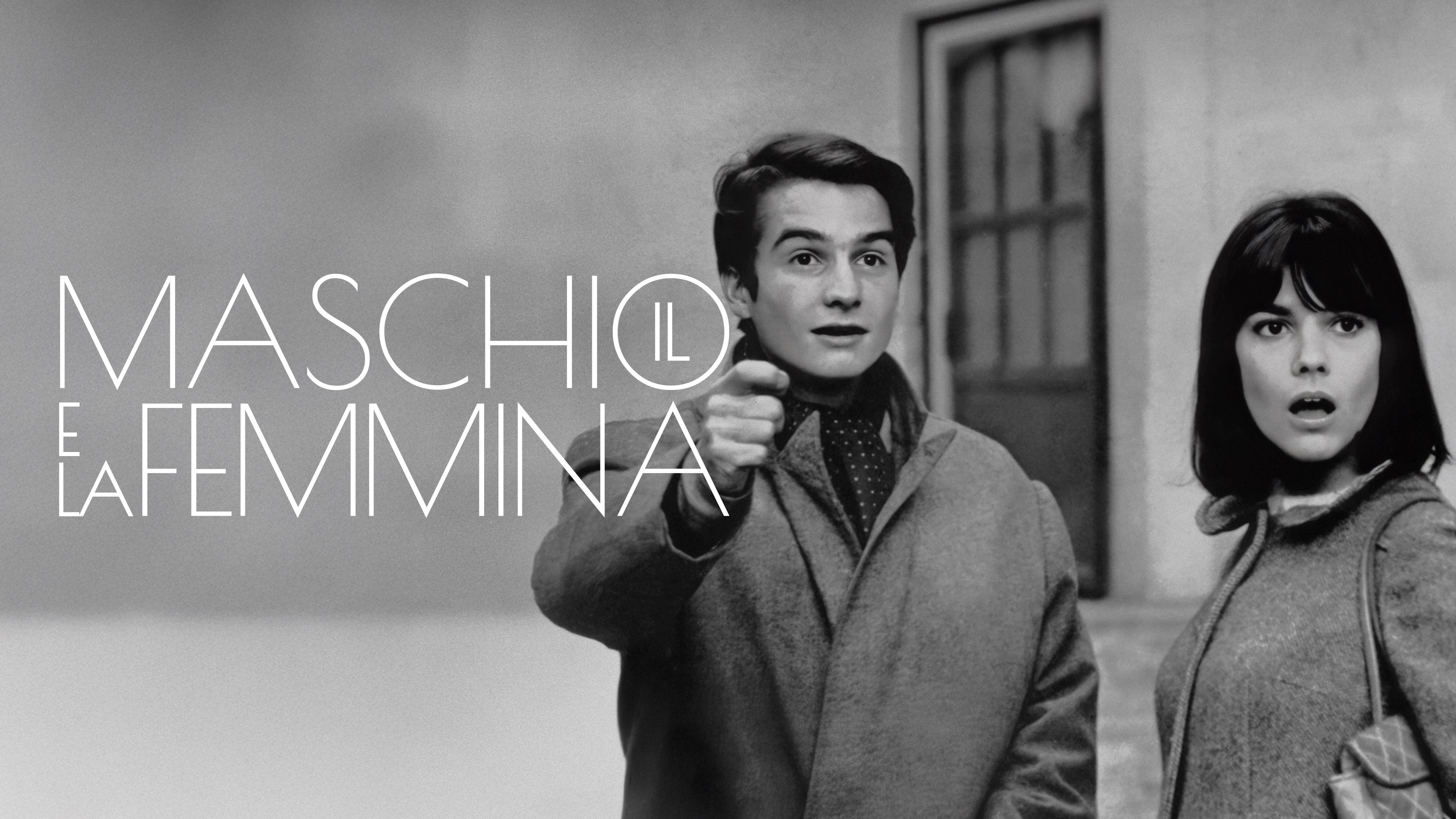 Il maschio e la femmina
