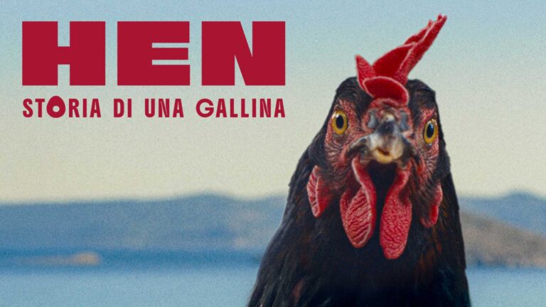 Hen – Storia di una gallina