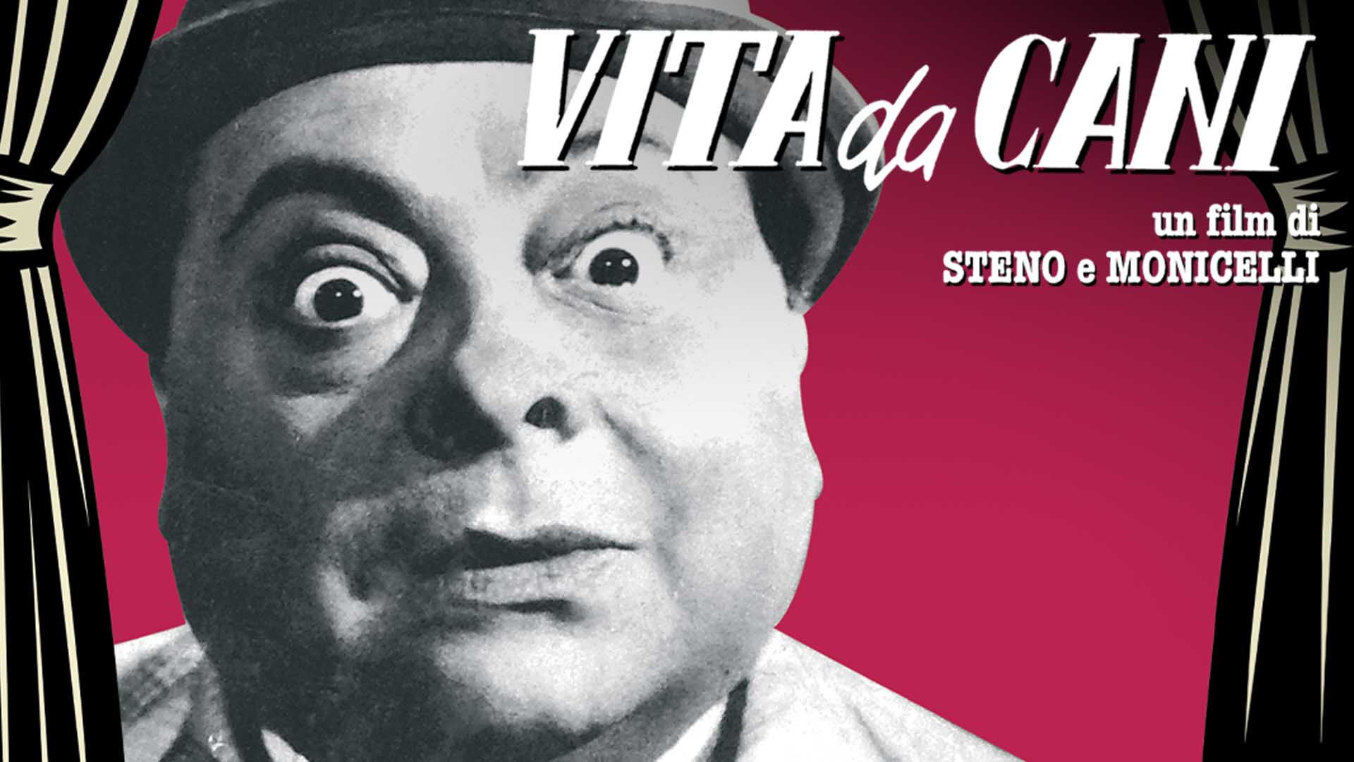 Vita da cani